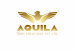 Gold eagle logo for Aquila Tech